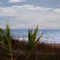 Valencia Playas de Valencia, Comunidad Valenciana