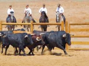 Foto Zahara de los Atunes | A Campo Abierto de Alvaro Domeco