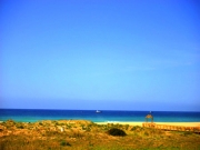 Foto Zahara de los Atunes | As praias
